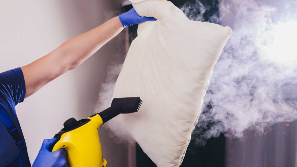 Checking does steam cleaner remove odors.