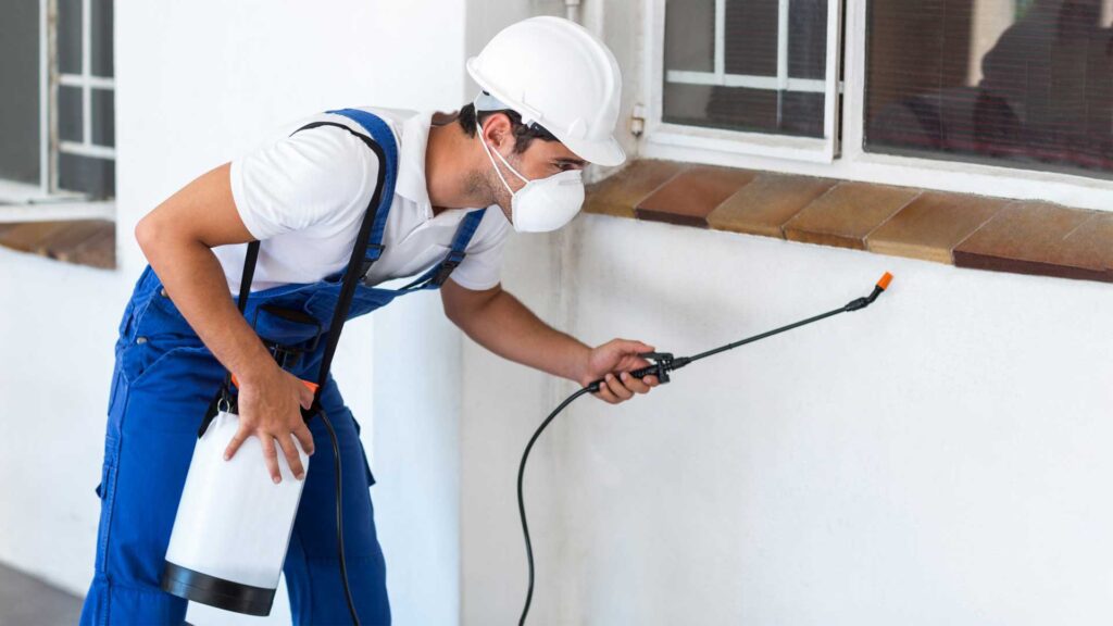 Landlords checking on pest control to be conscious have to clean between tenants.