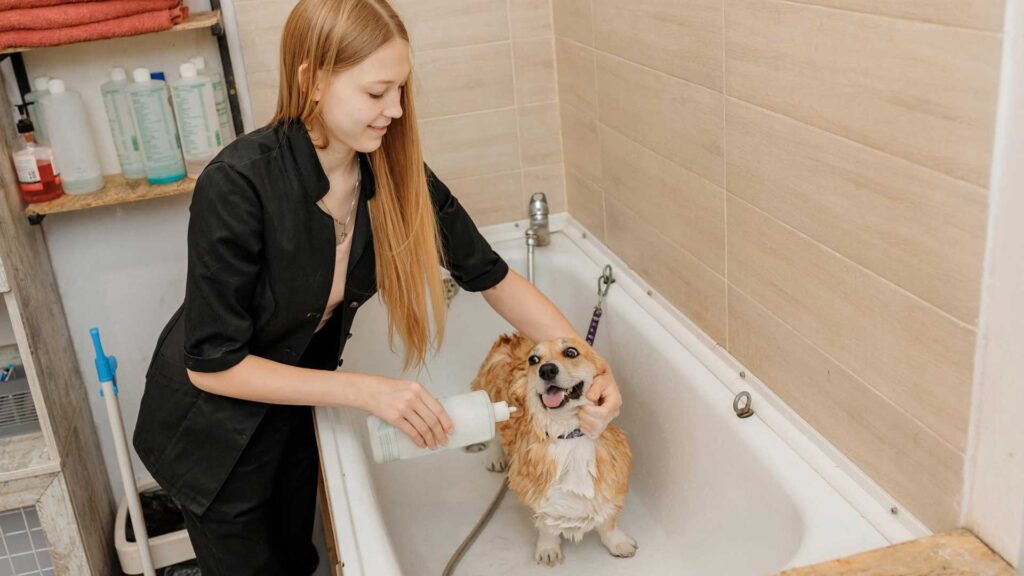 Grooming your pet in bathroom comes in effective ways to reduce dust in your home.