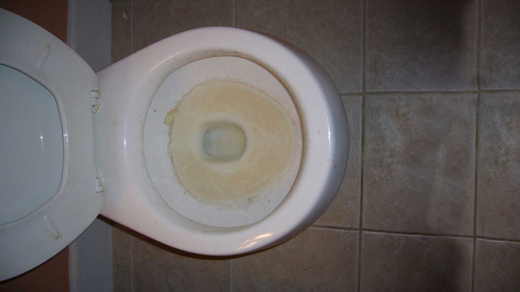 Hard water stains to remove from toilet bowl.