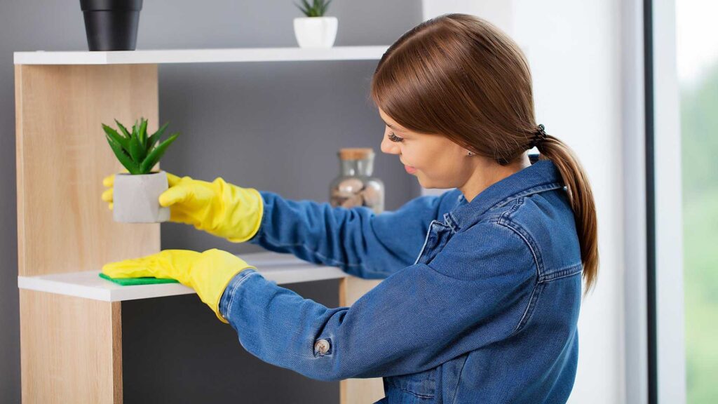 A clean home is a happy home without any infestations.