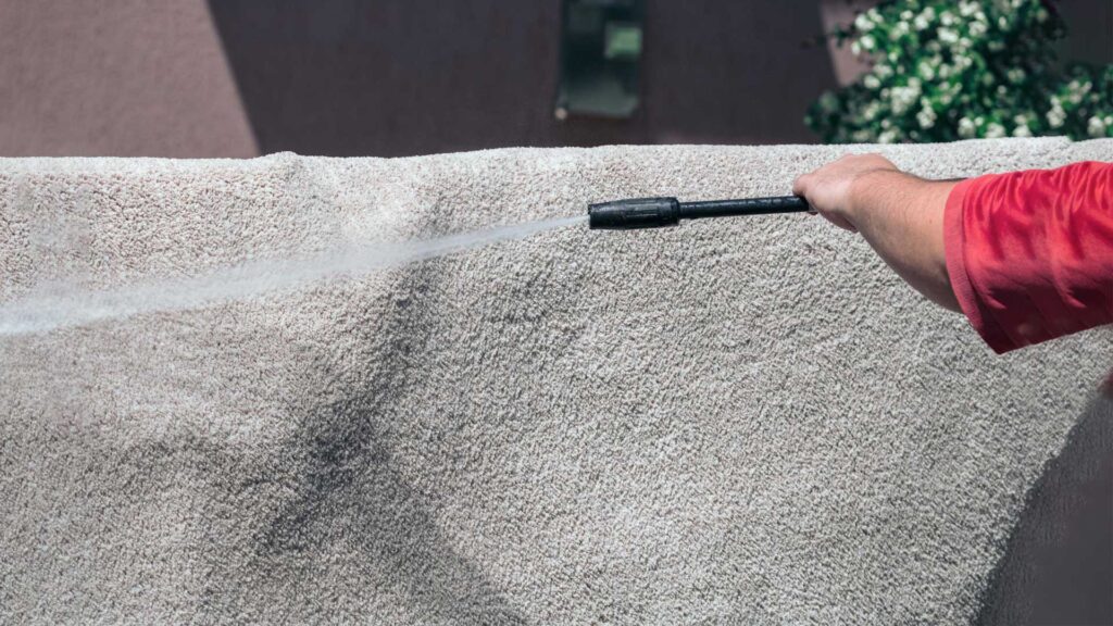 Area rugs can't be cleaned at dry cleaners.