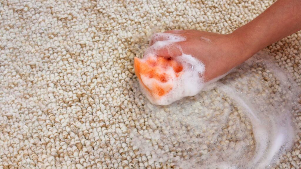 Hand washing your expensive carpets and rugs.