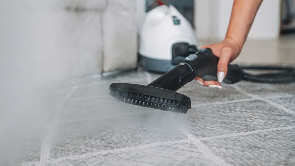 Alternative ways for steam cleaning to kill fleas at home.