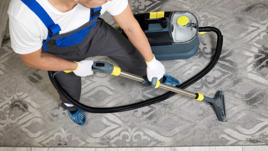 Professional Carpet cleaning to kill fleas. 